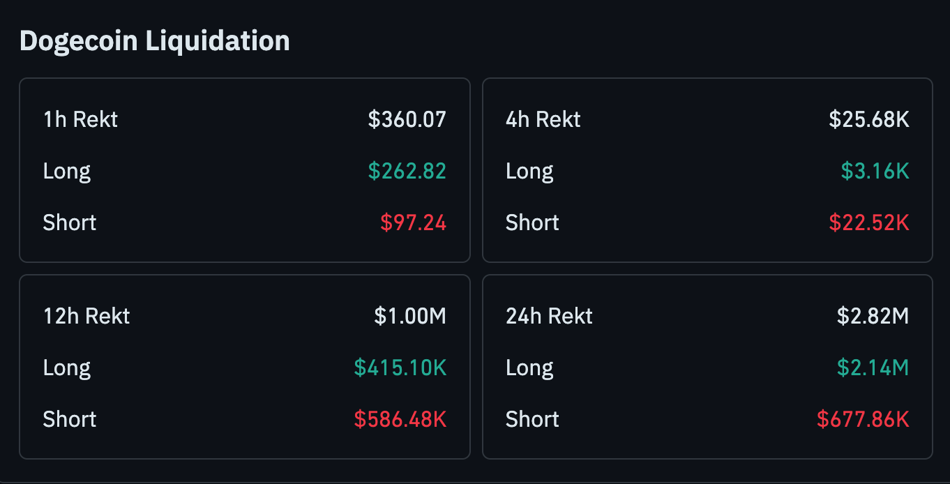 Dogecoin Liquidation