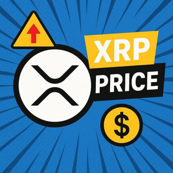 XRP价格预测：随着巨鲸不断增持，XRP将迎来反弹还是暴跌？