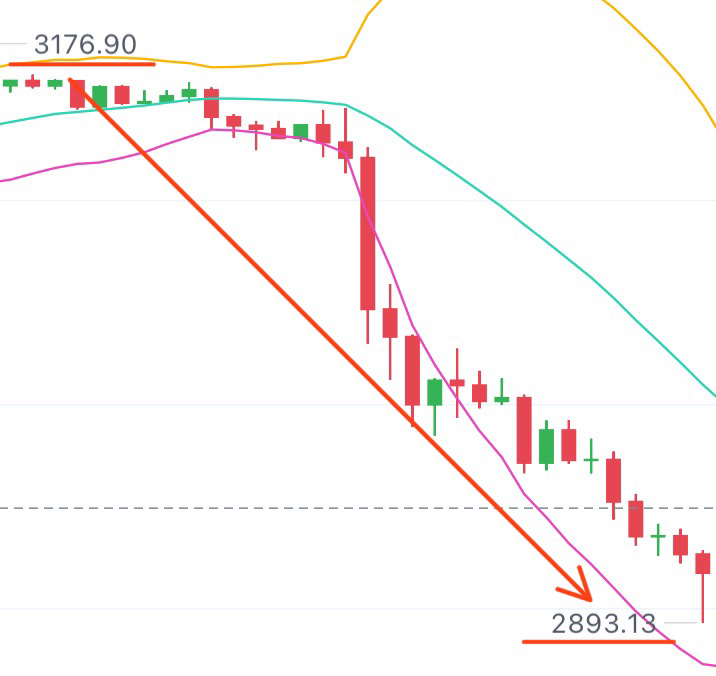 实力说话，赢利见证

昨天顺势而为，大饼拿下37945油，二饼29031油，双币狂揽6w多油，只要保持执行力，想赚油就是有手的事