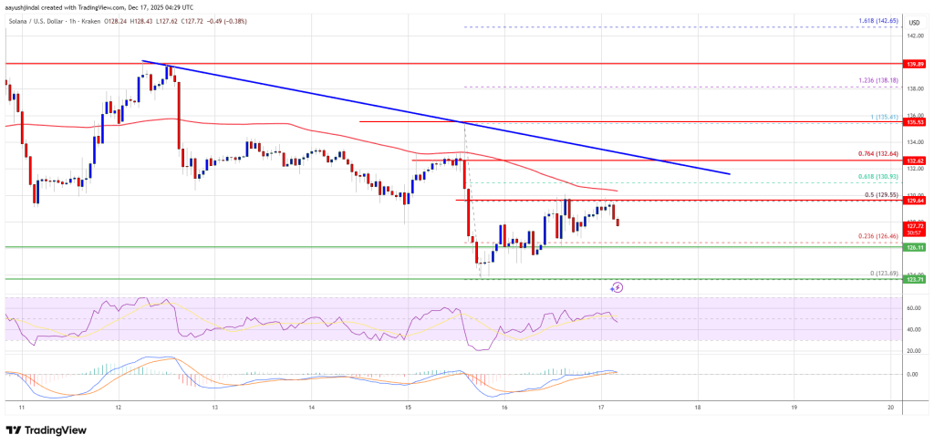 Solana (SOL) 失去上涨势头——卖方能否再次掌控局面？