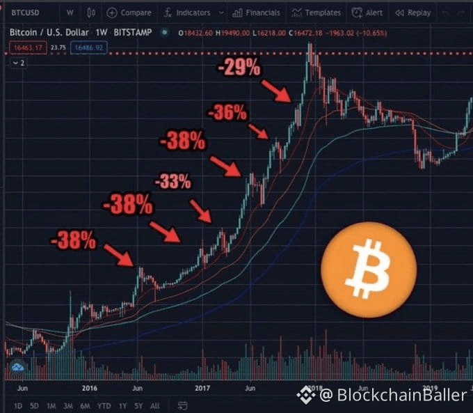 POV：真正的“牛市”是什么样子：🤧🤧