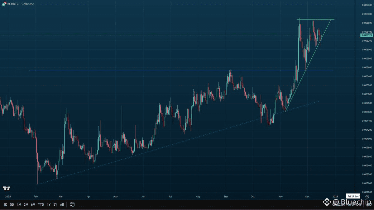 BCH/BTC

The surge in Bitcoin Cash (BCH) is simply unbelievable.

While other altcoins have underperformed Bitcoin (BTC), BCH has consistently outperformed BTC since February. 🤯

I made a lot of money during this rally, but then took profits too early, and the BCH/BTC price continued to soar!