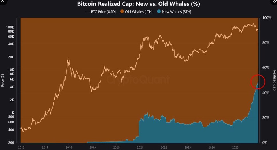 比特币价格展望：巨鲸活动加剧，看跌风险依然存在。
