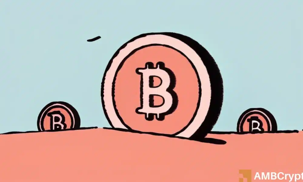 “山寨币季尚未结束”——为什么2026年可能是值得关注的一年