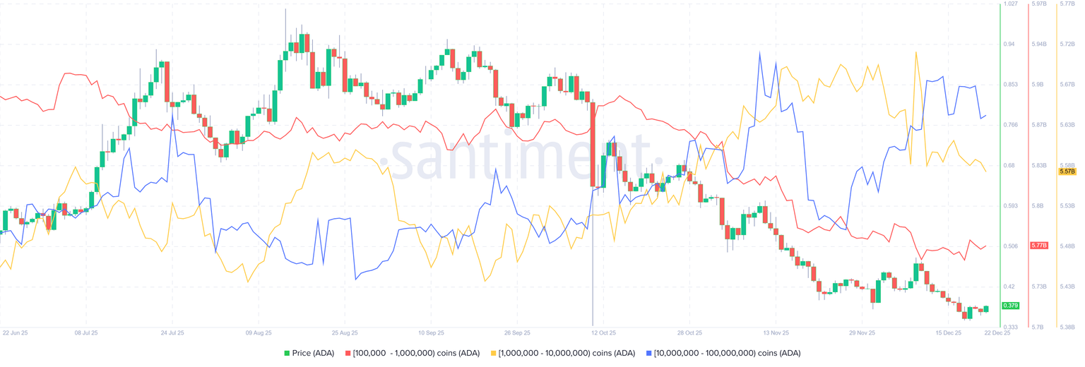 Cardano价格预测：ADA价格跌破0.37美元，持有者抛售代币