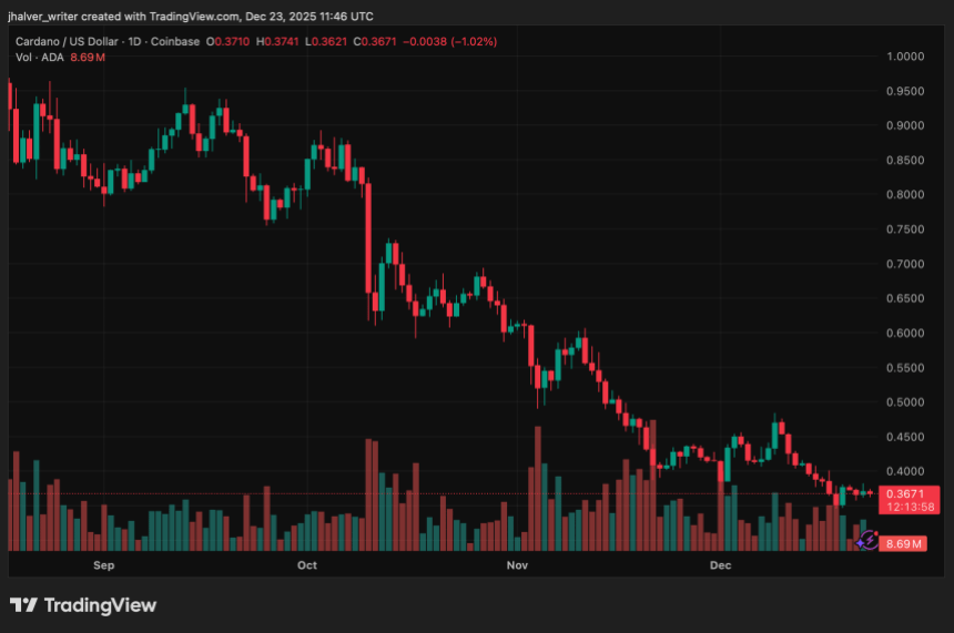 创始人发出信号，认为卡尔达诺去中心化交易所（DEX）存在长期投资机会，而价格盘整仍在持续。