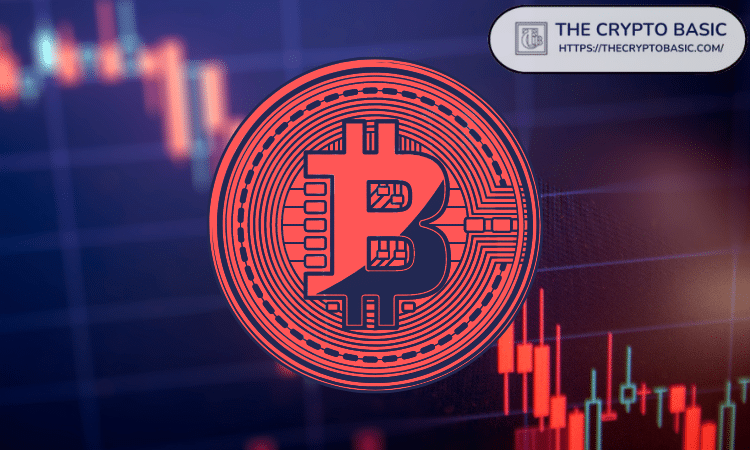 CryptoQuant 数据证实比特币已进入熊市