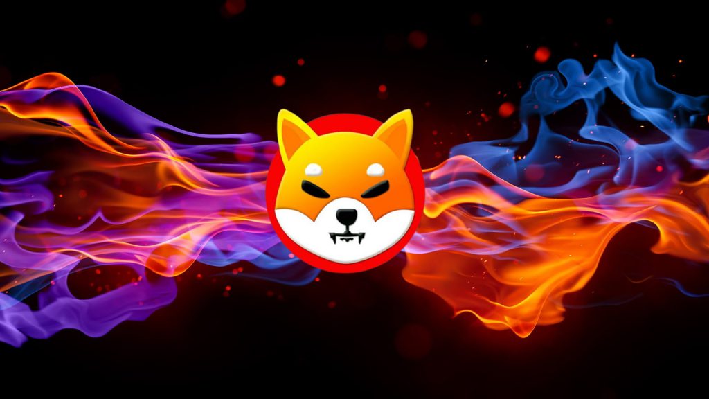 2026年购买柴犬是否划算？