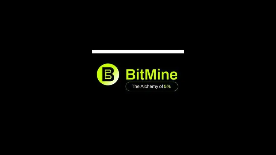 Bitmine发布新任董事长致辞，解释股东为何应投票赞成增加法定股份数量的修正案。