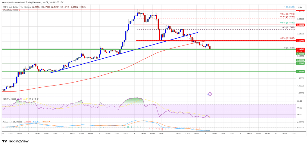 XRP价格回升，市场密切关注支撑位。