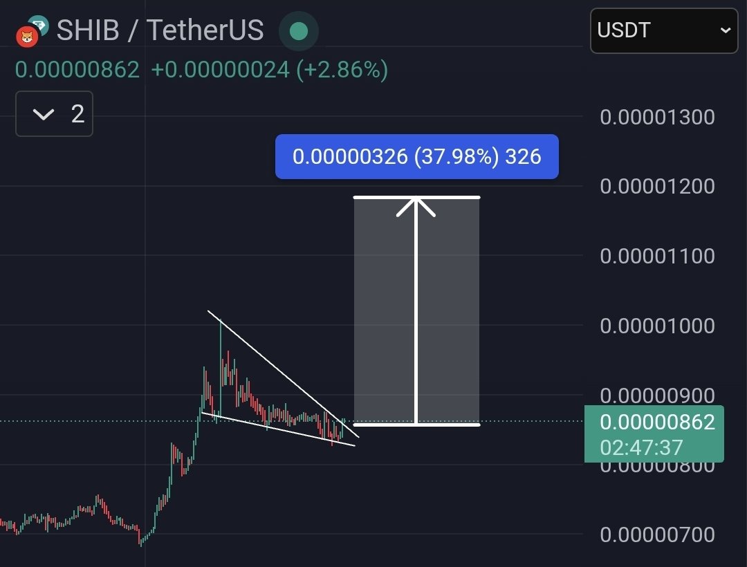 柴犬价格持续上涨取决于加密货币市场的积极走势