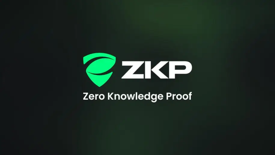 Zero Knowledge Proof的每日实时拍卖、价值1亿美元的人工智能基础设施以及600倍的潜在投资回报率令资深交易员震惊不已。