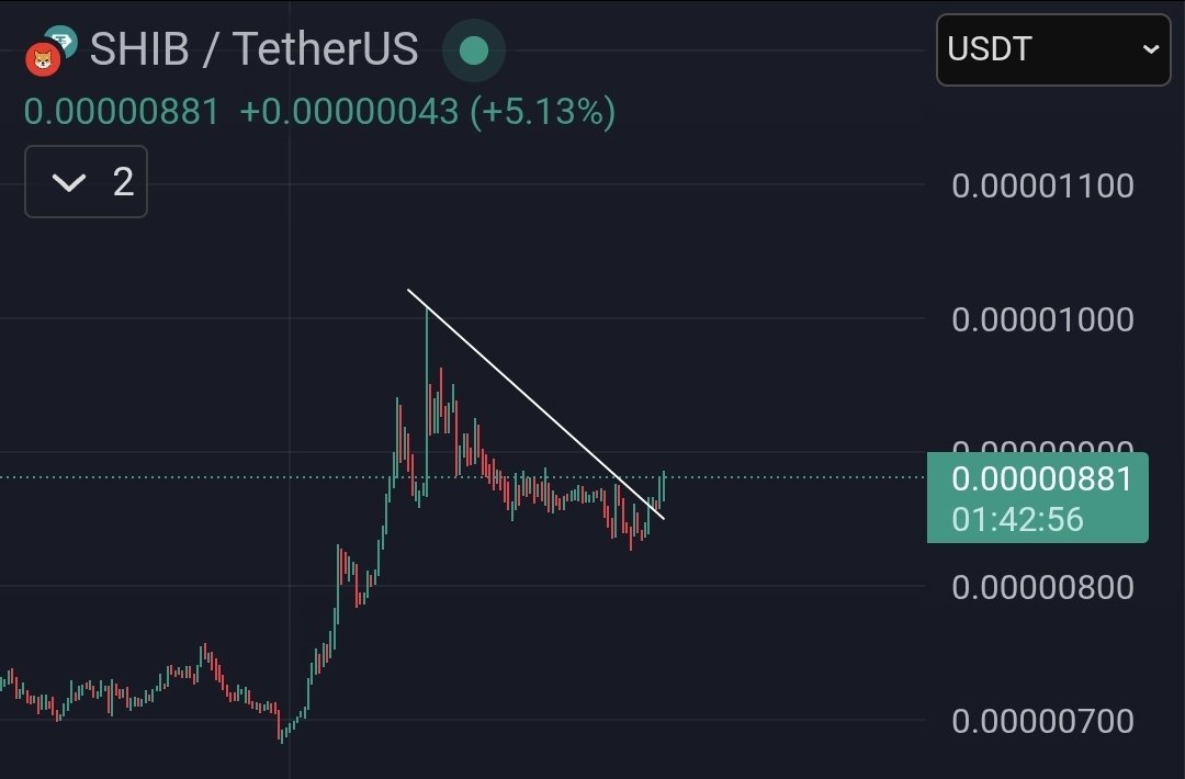 Shiba Inu breaks above the descending triangle