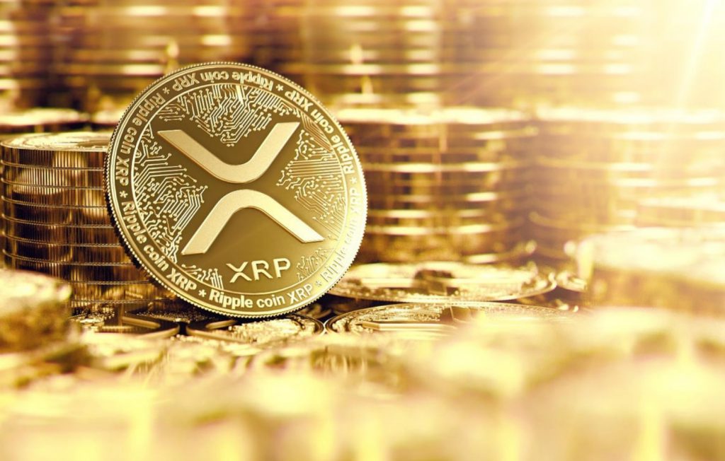 2026 年最大的 XRP 钱包：谁真正控制着 XRP