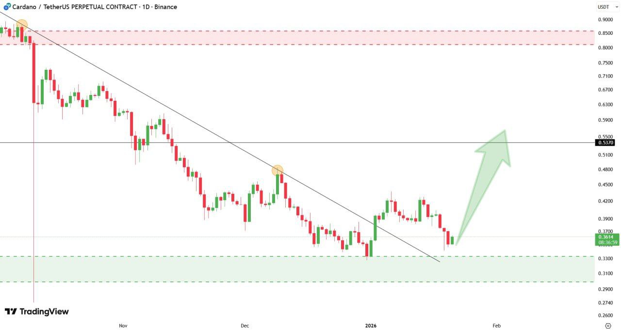 卡尔达诺价格反弹，买家捍卫关键需求区域