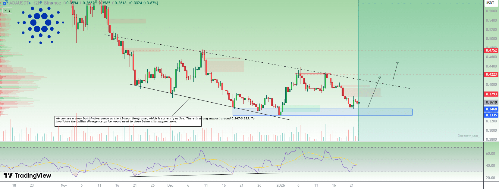 Cardano Bullish Divergence
