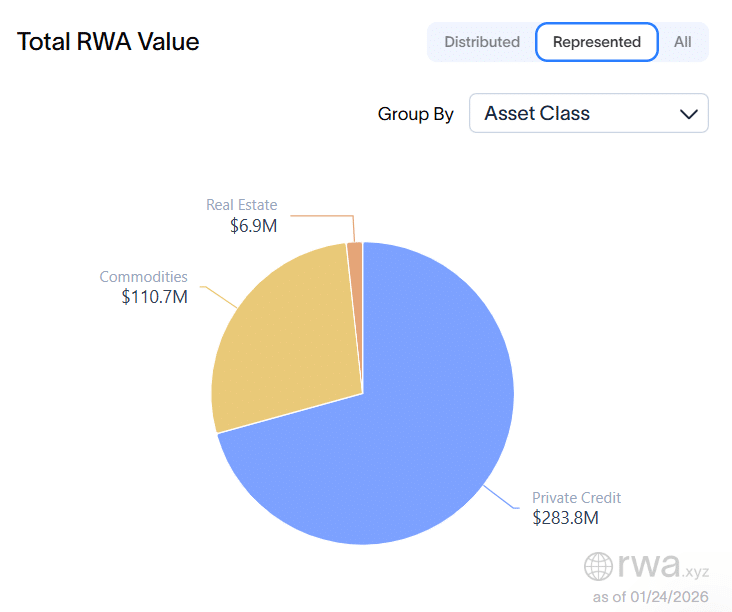 Represented Assets RWAxyz