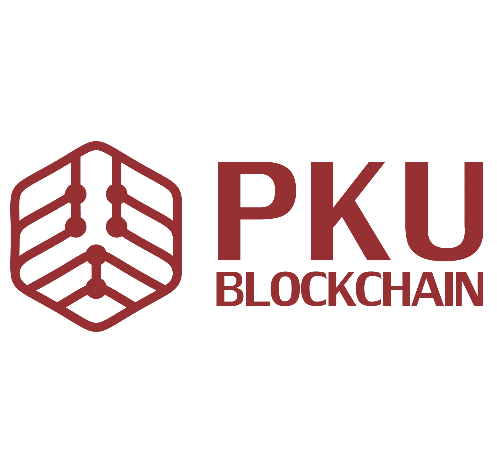 PKU BLOCKCHAIN