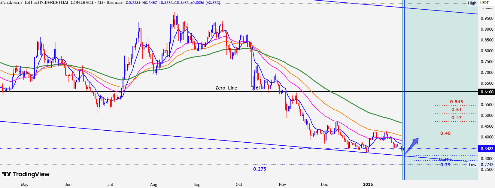 Cardano at Support/SwallowAcademy