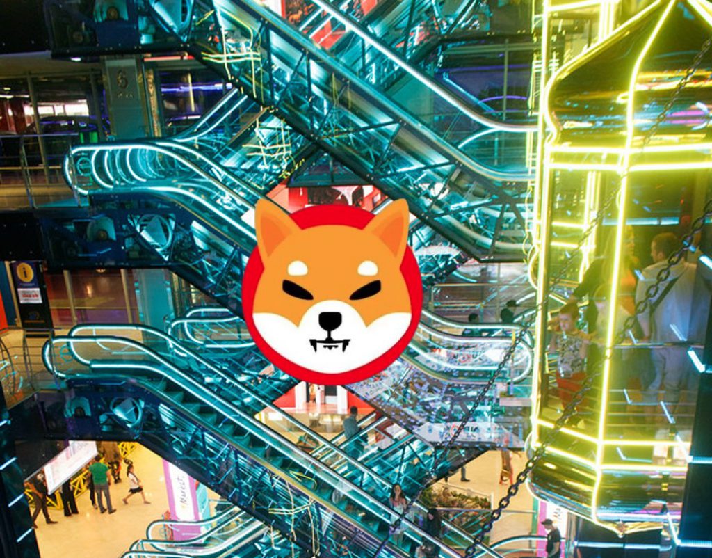 如果你投资 1000 美元买一只柴犬，然后 10 年都不去管它，会发生什么？