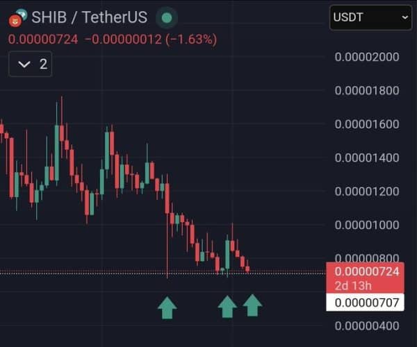 Shiba Inu Defends Crucial Support