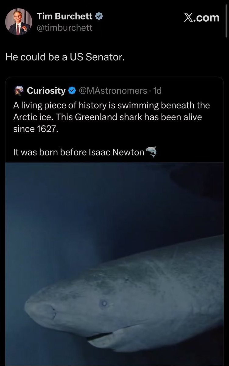 $shark

63Z3Q7JX3SBGDiiwqqnPTVvHcuUk6ixkzsYQbKzhpump

The oldest living shark ever discovered in Greenland is 399 years old.

It's trending overseas, everyone's calling it the next $Penguin and $whitewahle. I even saw it on Douyin (TikTok) in China.

This morning, a Republican senator in the US retweeted it saying that sharks could be members of the US Senate.

zz + animal + meme, buff stacked up!