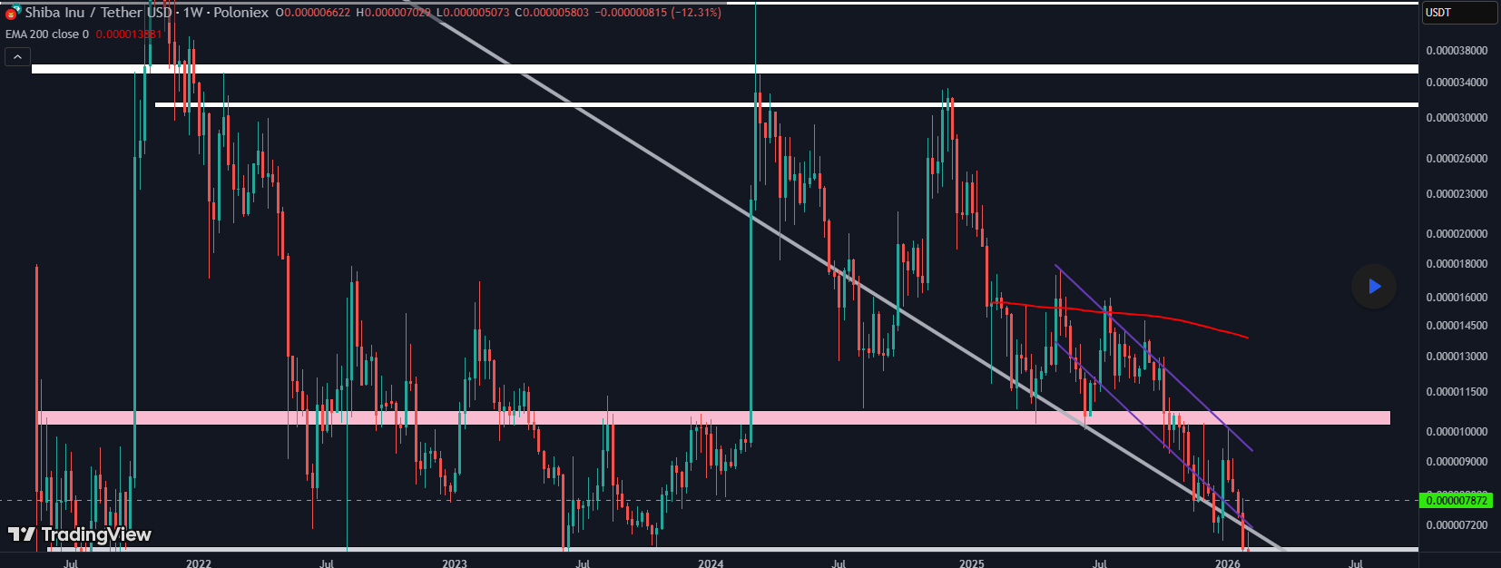 分析师：现在是入手柴犬的最佳时机。
