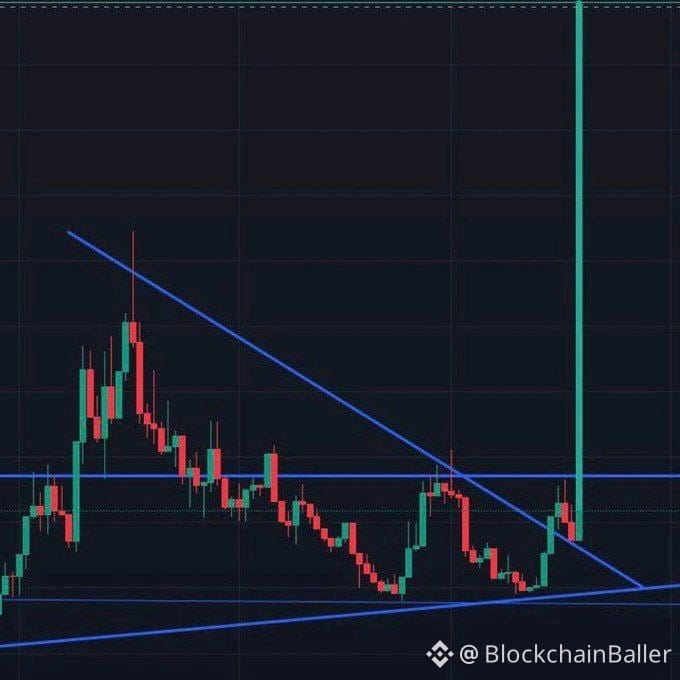 Here are my predictions for the next altcoin surge:

$ETH → 2x

$SOL → 5x

$SHIB → 10x

$DOGE → 8x

$USTC → 50x

$SUI → 25x

$LUNC → 100x

Which altcoins did I miss?