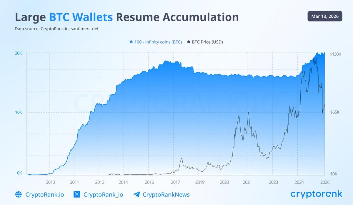 🐳 Large Bitcoin Wallets Resume Buying More Bitcoin

Wallets holding more than 100 Bitcoins have resumed buying more, indicating that large holders are becoming active again.

Meanwhile, Bitcoin's global adoption continues to grow. It is estimated that the Bitcoin network currently has approximately 571 million on-chain users, with more than 10 million new users added each quarter.