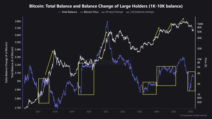 Bitcoin wallets holding 1K BTC to 10K BTC have resumed increasing their holdings.