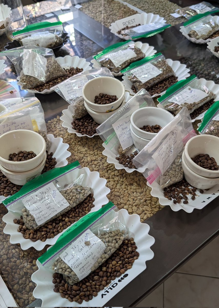 Today in El Salvador, I had one of the best coffees I've ever had in my life. 🇸🇻

Latin America is truly a coffee paradise.