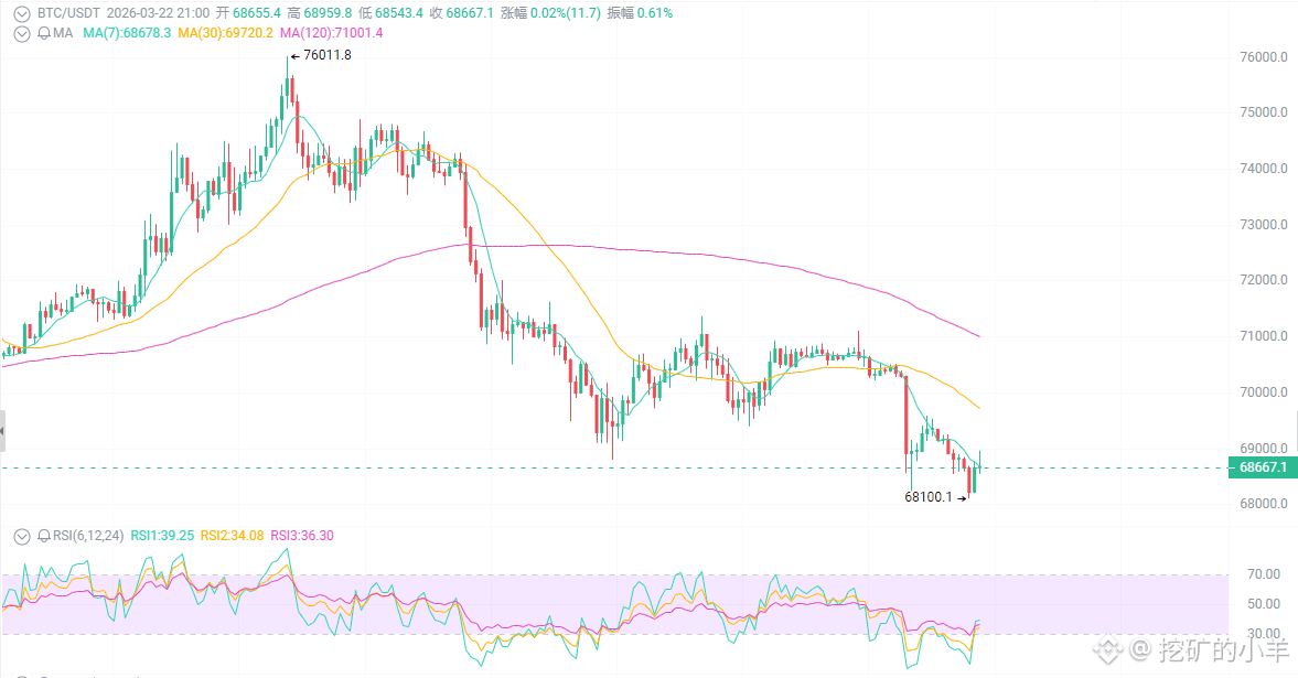 68,654美元的$BTC ，你敢抄底吗？
地缘政治一炸，大盘直接跳水3%，从70,740跌到68,654。鲸鱼一天砸了1个亿的USDT，Polymarket上70%的人赌今年要跌破5.5万。韭菜们彻底慌了：说好的数字黄金呢？怎么比纸还脆？

先看表面：血流成河，一地鸡毛。
过去24小时，BTC跌了3%，70,740直接干到68,654。MACD金叉是金叉了，但你看看均线——EMA24、EMA52全部空头排列，黑三兵加锤子线，技术面告诉你：这玩意儿可能还要跌。

第一件事：地缘政治来了，避险属性呢？
美伊冲突升级，霍尔木兹海峡被威胁，全球避险情绪爆了。按道理说，数字黄金该涨了吧？结果呢？跟跌不跟涨。为什么？因为现在资金都在抢美元和黄金，比特币？还没轮到它。

第二件事：鲸鱼在砸，但有人在接。
Galaxy Digital连续转移超过2000枚BTC，总流出1.024亿USDT，看着吓人吧？但你再看另一边——比特币现货ETF持续净流入，MicroStrategy还在高位增持。这说明砸盘的是短线鲸鱼，接盘的是长线机构。

第三件事：RSI跌到22.33，这是超卖到骨头里了。
RSI 6周期22.33，12周期27.16，什么概念？这是跌到地底下的位置。上一次RSI到这个位置，后面发生了什么？你回去翻翻K线就懂了。布林带下轨反弹、MACD金叉出现、底分型信号确认——**技术面在告诉你：反弹随时会来。

一边是地缘政治砸盘、鲸鱼抛售、Polymarket看空5.5万。
一边是ETF净流入、机构增持、RSI超卖到极致。

关键位置68,237，这是多空的最后底线。
如果你是短线选手：68,237附近轻仓博反弹，目标69,000-69,500，跌破67,950果断止损。别扛，别贪，破位就跑。

如果你是长线玩家：现在68,000-69,200分批建仓，止损设在67,500，目标看到72,000。机构的钱还在进，ETF还在买，你慌什么？
