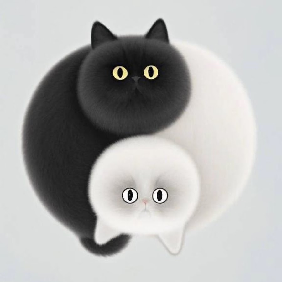 "Brother Feng" Bitcoin Market Analysis