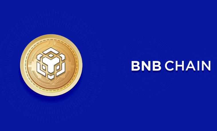 BNB Chain's 0 Gas Fee Benefit! The Era of Free USDT Transfers Begins, Making Retail Investors Ecstatic