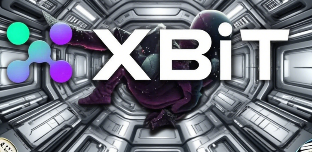 "Trump Coin" Investment Strategy: Beyond Political Hype, How Does XBIT Help You Make Data-Driven Decisions?