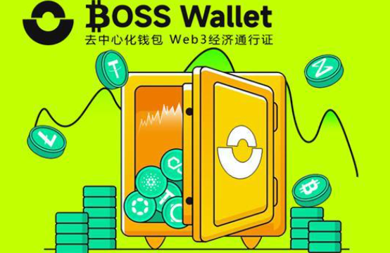 Bosswallet Multi-chain Defense Test: Technical Analysis of the Top 3 Cold Wallets in Security Ranking in 2025