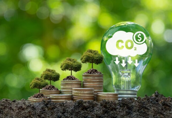 十分钟售罄的“碳资产”：国内首款碳信用数字资产是破冰吗？