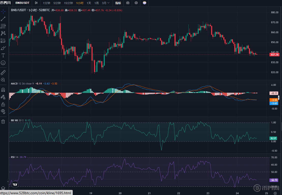 BNB今日走势分析解读：838美元价位透露哪些市场信号？ - 币界网