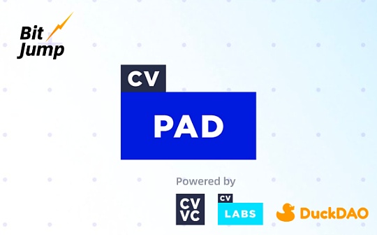 解读CV PAD：VC背景的全生命周期Launchpad