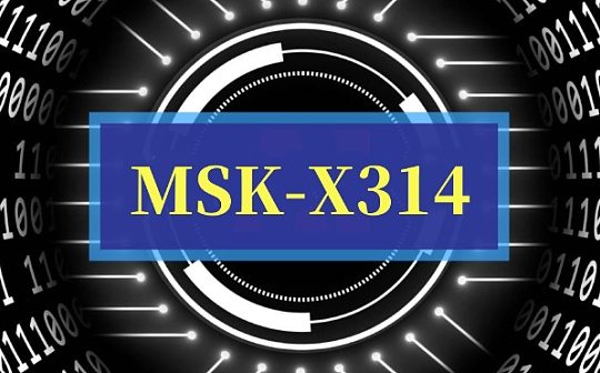 Maske-X314新协议即将上线币安链