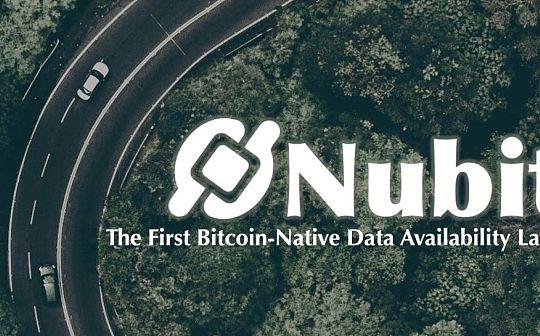 Nubit——改变比特币的模块化索引器
