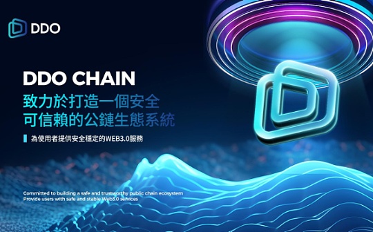 构建安全堡垒：DDO Chain安全标准解析图标