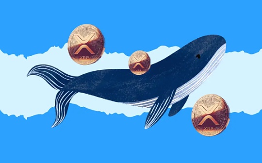 XRP鲸鱼在市场波动中抓住买入机会