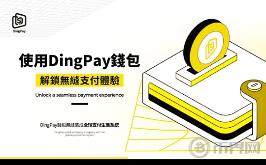 DingPay Wallet与全球支付生态系统的整合