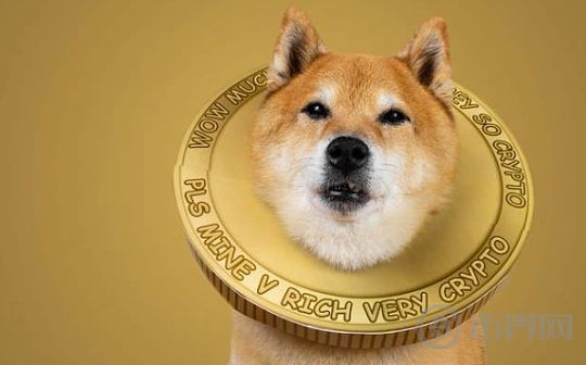 狗狗币（DOGE）价格即将迎来大规模反弹图标