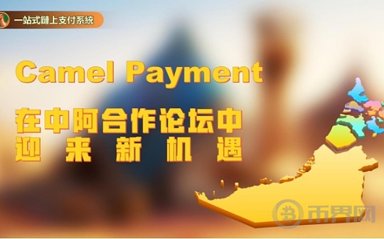 Camel Payment：在中阿合作论坛中迎来新机遇图标