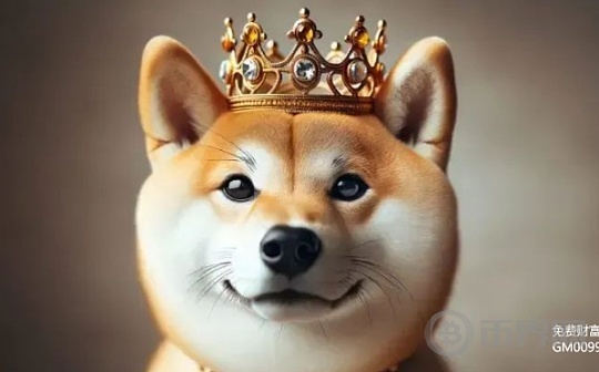 SHIB vs DOGE：8月决战  谁将加冕MemeCoin之王？图标