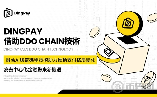 DingPay：重塑Web3支付的未来图标