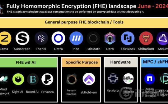 FHE现状、生态格局及未来挑战图标