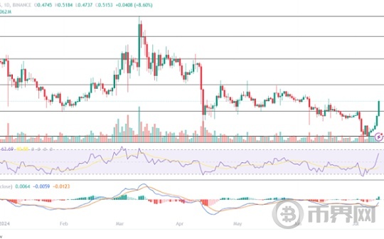 XRP 还是 ADA,哪种将首先达到 1 美元？图标